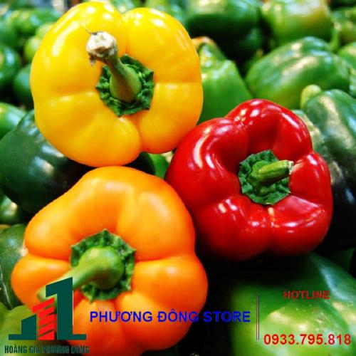 Hạt giống ớt ngọt F1( Ớt chuông)